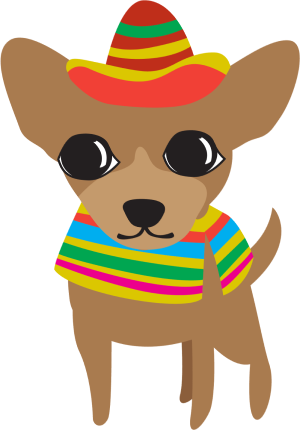 a cinco de mayo chihuahua